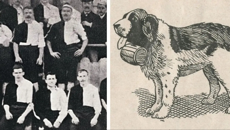 Major the Saint Bernard dog rescued the club from bankruptcy